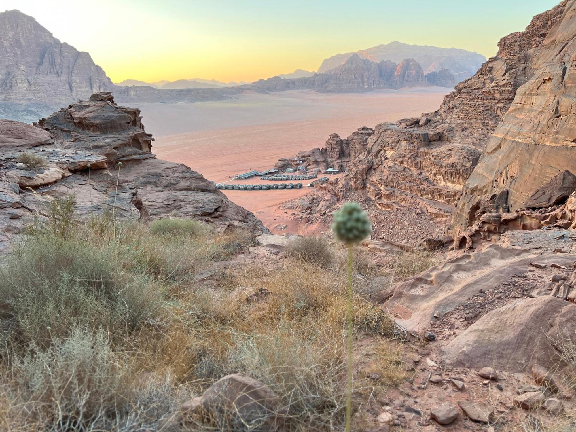 Hotel Rum Magic Nights Wadi Rum Esterno foto